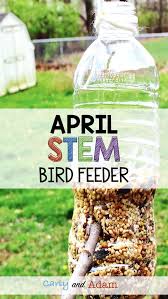 April Bird Of The Month For This Spring Stem Challenge Students Build A Bird Feeder Out Of Recyclables Stem Activities Stem Challenges Activities