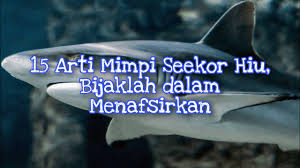 Maybe you would like to learn more about one of these? 15 Arti Mimpi Seekor Hiu Bijaklah Dalam Menafsirkan Youtube
