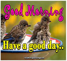 Check spelling or type a new query. Good Morning Images With Birds And Flowers Good Morning