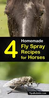 fly spray recipes for horses