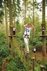 Go Ape To Open Treetop Adventure Course At The Blue Jay Point County Park Near Falls Lake In North Raleigh Triangle Business Journal Park Outdoor Playground Tree House