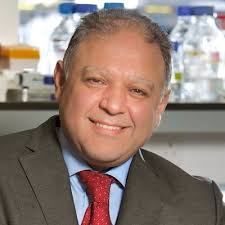 BD in Limerick is hiring: We talk to a senior scientist to find out what  it's like to work there