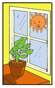 The dependent variable is the variable that changes as a result of the independent variable; How To Write An Experimental Science Project Question Vancleave S Science Fun