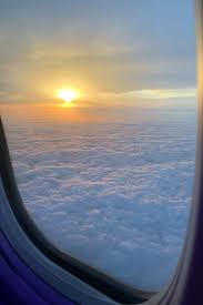 Home In 2020 Oceania Travel Airplane View Sky View