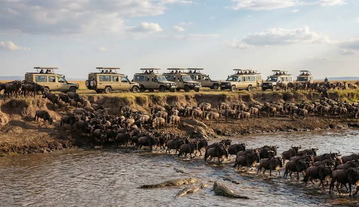 6 Days Great Migration Safari