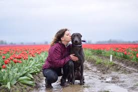 We welcome most exotic pets including with classes ranging from group classes to board and train to puppy kindergarten, we will make sure that your pet gets the training he or she needs. Head Up Dog Training Seattle Wa