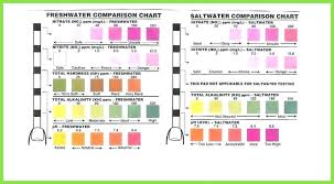 Pool Test Strip Chart Sundazestudio