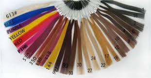 China Professional Remy Human Hair Color Ring Color Chart