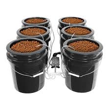 Buy Htgsupply Bubble Brothers 6 Site Xl Dwc Hydroponic System Online In Turkey B086z3ll53