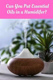 Can You Put Essential Oils In A Humidifier Freshoair In 2020 Essential Oils In Humidifier Essential Oils Body Essential Oils