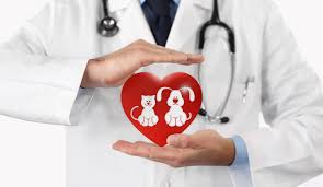 Urgent care availability depends on your medical group. Animal Urgent Care Crown Point Indiana