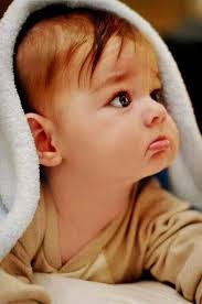 Wade Prescott (wadeprescott)