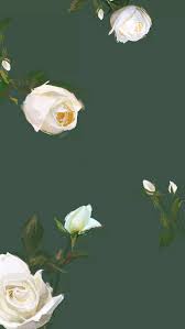 壁纸控 全套平铺风 被这些花儿迷倒 搜狐动漫 搜狐网 iphone wallpaper vintage quotes kate spade wallpaper watercolor wallpaper