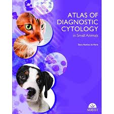 Immunodermatology in small animals: Vich Cordón, Carlos, Fariñas Guerrero, Fernando,  Howard, Owen: 9788416818242: Amazon.com: Books