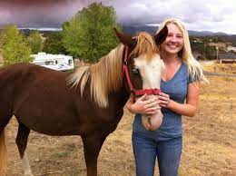 How To Train Your Beginner Horse Pethelpful