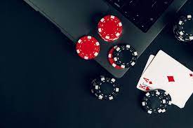 How Much Does a White Label Casino Cost | EvaCodes