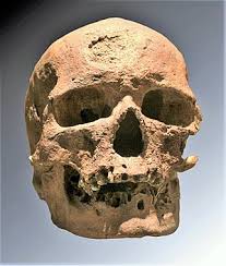 Der erste homo sapiens entwickelte sich vor etwa 300.000 jahren. Cro Magnon Mensch Wikipedia