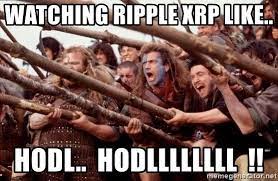 The best memes from instagram, facebook, vine, and twitter about ripple meme. 40 Funniest Xrp Memes From Reddit 2021 In 2021 Top Memes Memes Hedgehog Memes
