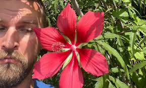 treeeluver23 Lou Krippenstapel in the drippy groundhog cave