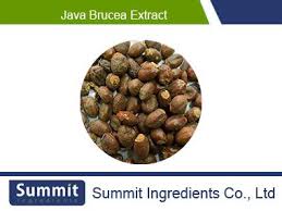 Image result for Brucea