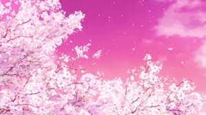 The best gifs are on giphy. Pin By Angel Fall On Cute Colorful World Anime Cherry Blossom Anime Scenery Aesthetic Anime