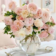 Check spelling or type a new query. David Austin Cut Roses Grace Rose Farm Happy Happy Nester