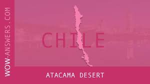 Wow :nikmati desain game yang sederhana namun menarik! Words Of Wonders Atacama Desert Wow Answers