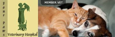 Check spelling or type a new query. Low Cost Veterinary Care Tampa