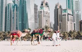 Trains are driverless and include first class, and women and children only sections. Best Schools In Dubai Considered By Expats The Good Schools Guide