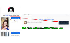 Looking to save your favorite tiktok videos for offline use? Tikmate Tik Tok Video Downloader