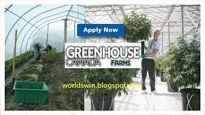 Green House Canada Jobs Opportunities In Farms Greenhouse Greenhouse Growing Canada