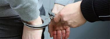 Resisting And Obstructing The Police Defense Attorneys In Michigan Criminal Defense Attorney Criminal Defense Criminal