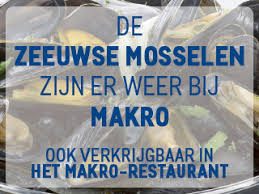 Nescafe alegria coffee machine makro belgie adres zoeken op. Makro Belgie