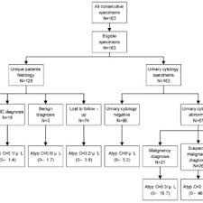 In this process, a sample containing cells or particles is suspended in a fluid and injected into the flow cytometer. Pdf Investigation Of Atyp C Using Uf 5000 Flow Cytometer In Patients With A Suspected Diagnosis Of Urothelial Carcinoma A Single Center Study