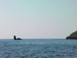 Hoof = hard foot of a cow, horse or a camel. Giraffe Swimming In Ocean