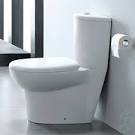 How to Remove Hard Water Stains from Toilets - The Forked