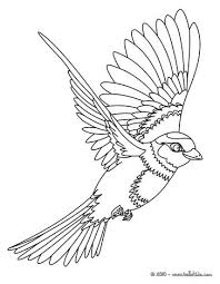 Download this adorable dog printable to delight your child. Bird Coloring Pages 81 Free Birds Coloring Pages Amp Birds Bird Coloring Pages Bird Drawings Animal Coloring Pages