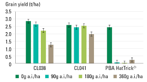 Rotational Utility Of Pulses Improved With Herbicide Tolerance Traits Groundcover