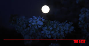 Τις μεσημβρινές και απογευματινές ώρες στα. Panselhnos Martioy To Feggari Toy Skoylhkioy Koinwnika Nea Kai Eidhseis