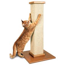 Get the best pet supplies online and in store! Smartcat Cat Scratcher Cat Scratchers Petsmart