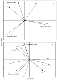 Image result for Tristachya rehmannii