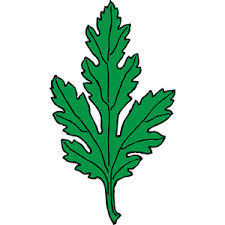Chrysanthemum Leaf Free Vector Clipart Chrysanthemum Leaf Chrysanthemum Leaves Leaf Clipart Chrysanthemum