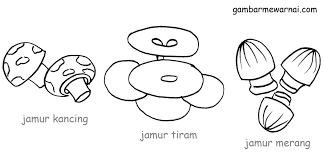 Ada jamur kancing jamur tiram dan jamur merang. Contoh Mewarnai Sayuran Jamur Warna Jamur Gambar