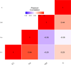 Image result for Kohautia microflora