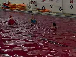 Maybe you would like to learn more about one of these? People Were A Bit Horrified When A Leisure Centre Turned Its Swimming Pool Bright Red For Christmas Wales Online