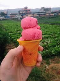 Check spelling or type a new query. Baguio Philippines The Best Strawberry Ice Cream Eveeerrrr Baguio Philippines Philippines Photography Philippines