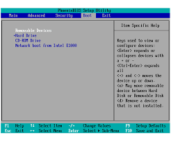 The hard drive is not dead and there are lots of photos, videos and other files i would like to obtain from it. How To Boot From A Usb Device Flash Drive Or Ext Hdd