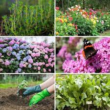 Check spelling or type a new query. 20 Plants You Can Grow From Cuttings And How To Do It