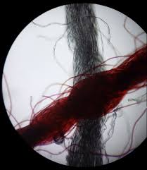 Deciding which type of fabric to make an item with is an important decision, as fabrics can have countless qualities. String Structure Wikipedia