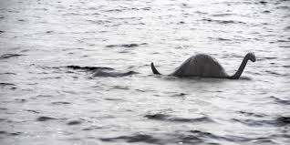 Welcome to the loch ness and loch ness information website. This New Photograph Is Definitely The Loch Ness Monster And Not A Sea Lion